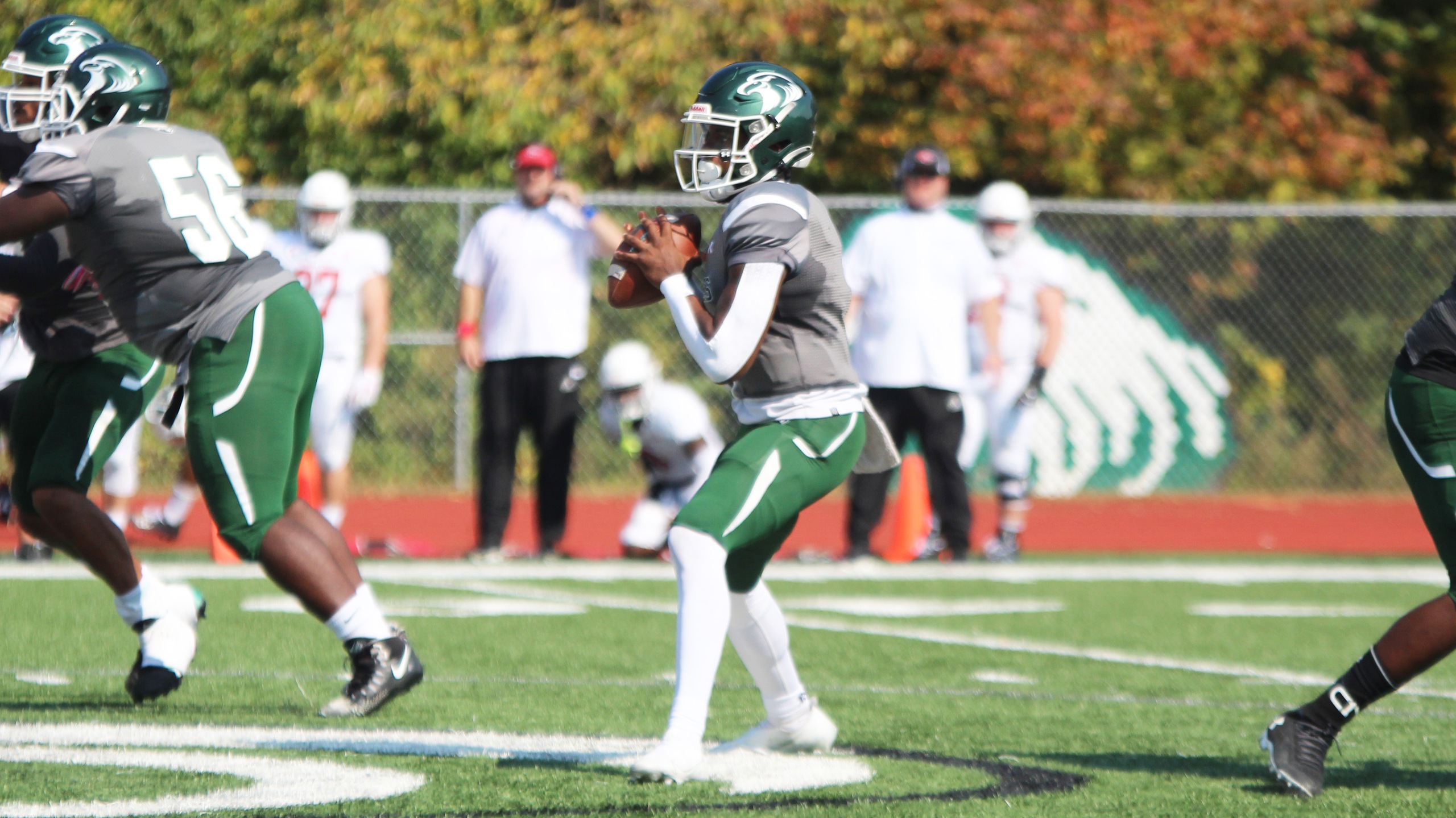 Central falls in season opener to No. 5 Grand View